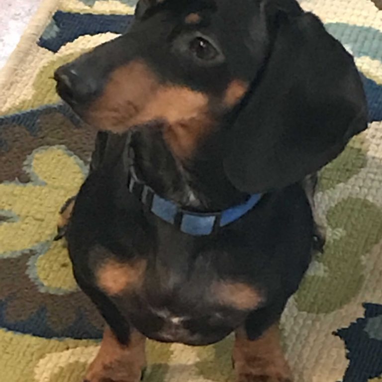 6 Marketing Tasks To Do This Week